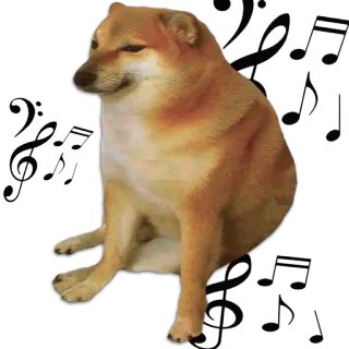 🐶 โดจ, หมา, มีม, เพลง, โน้ต, ชีมส์, ตลก whatsapp sticker