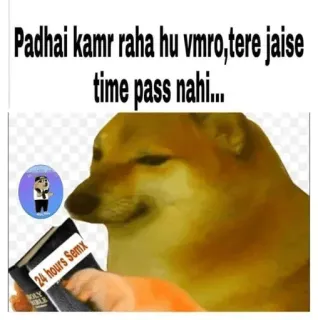 😆 Padhai kamr raha hu vmro,tere jaise
time pass nahi... doge, meme, indian telegram sticker