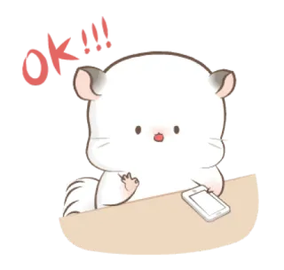 👌 OK!!! cincillà, carino, animale, ok, approvazione, scrivania, tablet telegram sticker