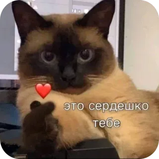 🧟 это сердешко тебе telegram sticker