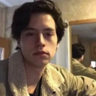🌨 Cole Sprouse Cole Sprouse, actor, retrato, celebridad telegram sticker