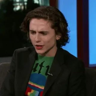 🥀 Timothée Chalamet diễn viên, người nổi tiếng, đàn ông, chân dung telegram sticker