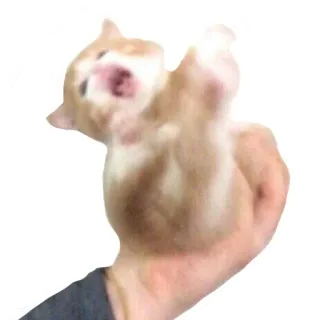 😧 anak kucing, kucing, binatang, hewan peliharaan, lucu, tangan, menguap telegram sticker