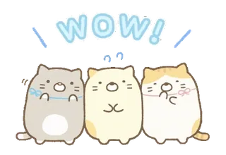 🍞 WOW! 고양이, 귀여운, 동물, 스티커, 와우, 사랑스러운 whatsapp sticker