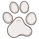 🐾