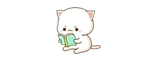 📘 gato, leyendo, libro, lindo, animal, gatito whatsapp sticker