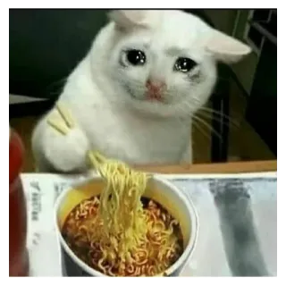 😢 kucing, sedih, menangis, ramen, mie, makanan telegram sticker