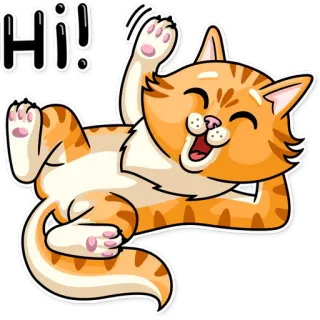 👋 Hi! แมว, ลูกแมว, แมวส้ม, น่ารัก, โบกมือ, สวัสดี, ทักทาย whatsapp sticker