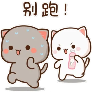 🦠 別跑！ gato, corriendo, lindo, dibujos animados, kawaii telegram sticker