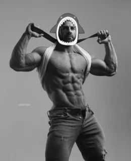 💪 Fitness, Muskeln, Hai, Humor whatsapp sticker