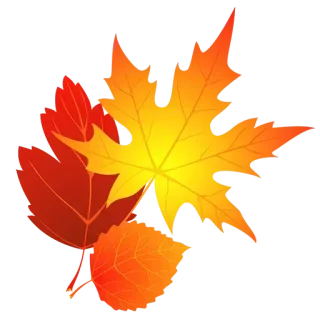 🌹 Blatt, Herbst, Herbst, Laub, Blätter, Natur, saisonal, orange whatsapp sticker