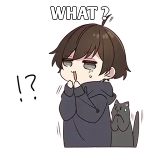 ✨ WHAT? anime, ragazzo, domanda, gatto whatsapp sticker