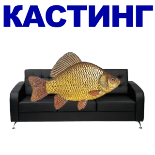 🐠 poisson, canapé, divan, meuble, animal whatsapp sticker