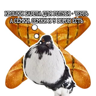 Pigeon and philosophy telegram stickers