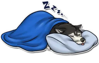 😴 Zzzzz tidur, anjing, tempat tidur, selimut, lelah, istirahat, bantal whatsapp sticker