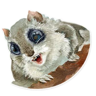 🐿 リス, 動物, かわいい, 野生動物 whatsapp sticker