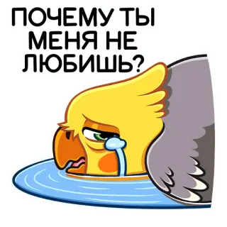😭 ПОЧЕМУ ТЫ МЕНЯ НЕ ЛЮБИШЬ? pássaro, triste, chorando, papagaio, calopsita telegram sticker