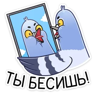 😡 ТЫ БЕСИШЬ! paloma, pájaro, molesto, espejo, reflejo, dibujo animado telegram sticker