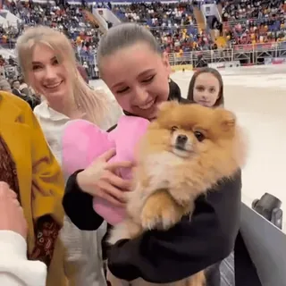 🦁 cane, volpino di Pomerania, donne, pattinaggio su ghiaccio, stadio, cuore, animale domestico telegram sticker