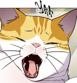 🐈 YAA gato, bostezo, atigrado naranja, anime, pegatina telegram sticker