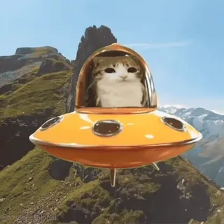 🛸 cat telegram sticker