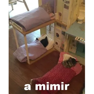 🛌 a mimir chats, dormir, lits, maison de poupée, chatons, mimir telegram sticker