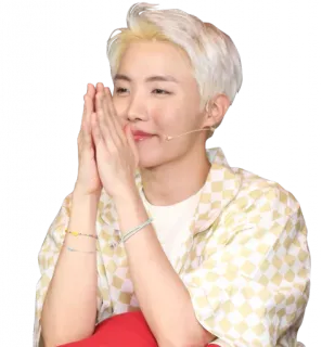 🙏 J-Hope J-Hope, BTS, kpop, idol, singer, entertainer telegram sticker