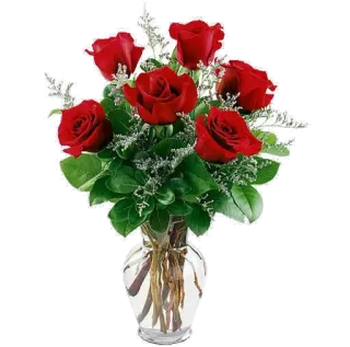 😩 Blumen, Rosen, rote Rosen, Strauß, Vase, Blumenarrangement, Liebe, Romantik telegram sticker