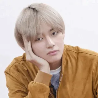 😕 V K-pop, cantante, V, BTS, ritratto telegram sticker