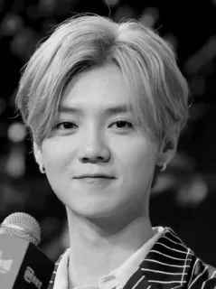 🌊 Luhan Luhan, singer, actor, celebrity, portrait, person telegram sticker