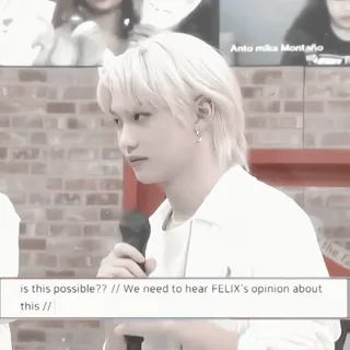 🦙 Felix is this possible?? // We need to hear FELIX's opinion about this // telegram sticker