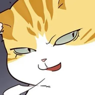 🐈 mèo, động vật, meme, hài hước, dễ thương, biểu cảm telegram sticker