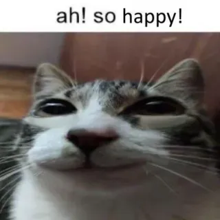 ☺️ ah! so happy! whatsapp sticker