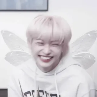 😁 fairy, wings, smile, happy, person, portrait telegram sticker