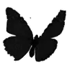 🦋