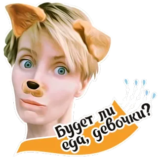 🤷‍♀️ Будет ли еда, девочки? dog filter, food, russian, sticker, cartoon telegram sticker
