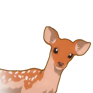 🦌 cervo, animale, carino, natura, fauna selvatica telegram sticker