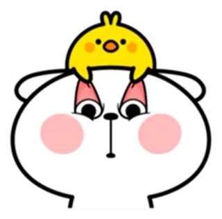 👀 Tier, niedlich, Hase, Huhn, Cartoon telegram sticker
