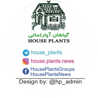 @house_plants (girls) telegram stickers