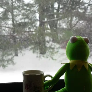 ☕️ Kermit Kermit the Frog, Muppet, coffee, window, winter, snow, plush telegram sticker