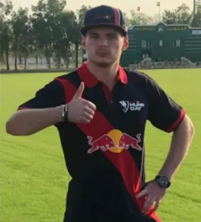 👍 max verstappen, f1, fórmula 1, piloto de carreras, red bull telegram sticker