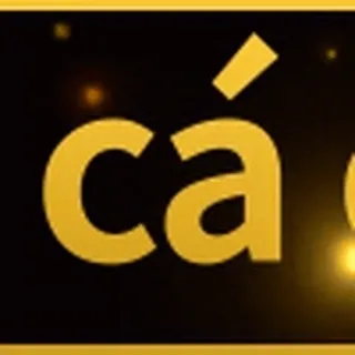 ⚡️