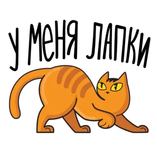 🐈 У МЕНЯ ЛАПКИ кот, смешной, милый, русский, котенок telegram sticker
