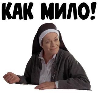 😋 КАК МИЛО! suora, donna, religione, russo, testo, CHE CARINO, esclamazione whatsapp sticker