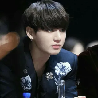 ✨ Jungkook singer, celebrity, kpop, bts, idol, male, portrait telegram sticker