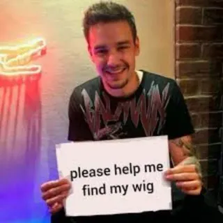 🤪 please help me find my wig meme, humor, wig, lost, help, funny telegram sticker