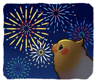 😛 calopsitte, oiseau, feux d'artifice, fête, nuit, mignon, animal whatsapp sticker