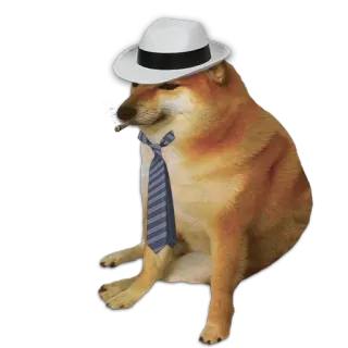 🕴 Cheems 犬, Cheems, ミーム, フェドラ帽, ネクタイ telegram sticker