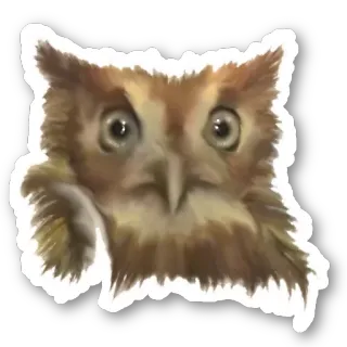 🤨 cú mèo, động vật, nhãn dán, chim, động vật hoang dã telegram sticker