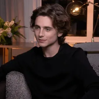📯 Timothée Chalamet Timothée Chalamet, acteur, portrait, célébrité, jeune, homme telegram sticker